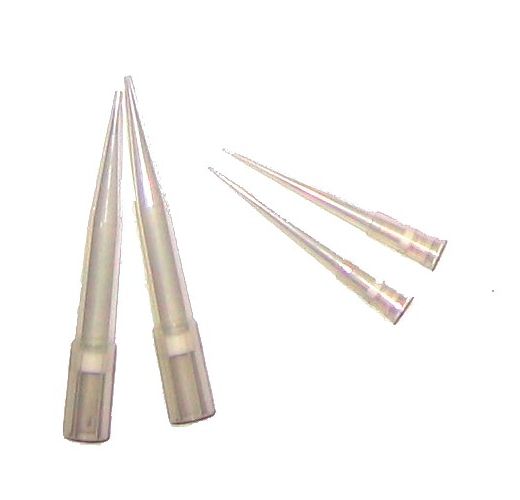 Pipette Filter Tip 5-200?l BRAND, rack of 96x2